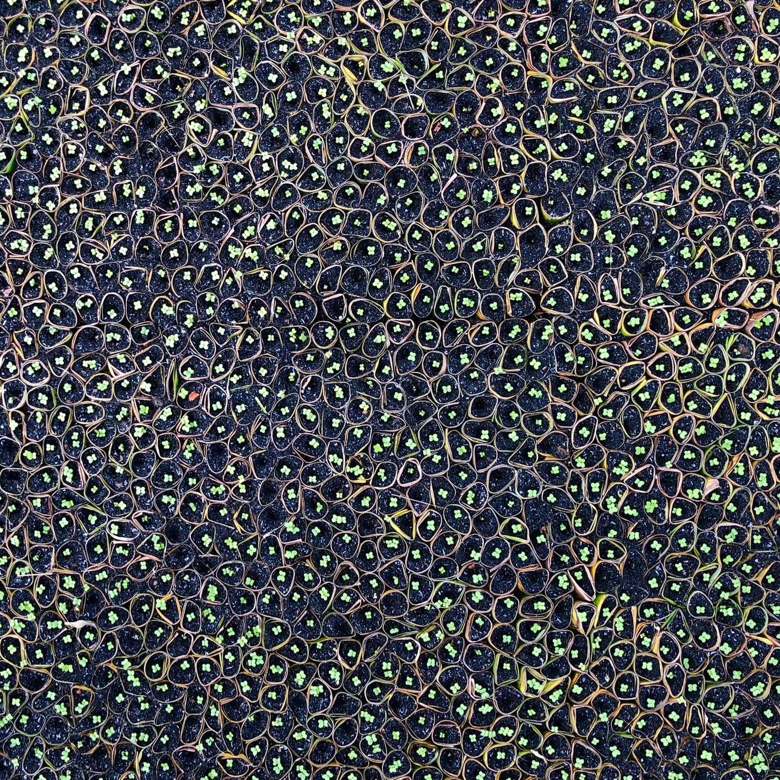 Patterns of Mekong Delta, a fine art metal print from Mekong Delta
